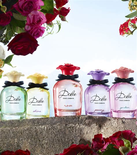 dolce&gabbana dresses|dolce perfume.